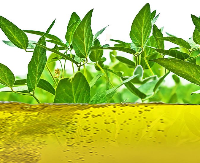 09_09_chaco_biodiesel