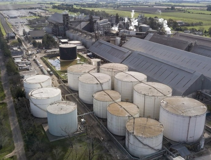 biodiesel_planta