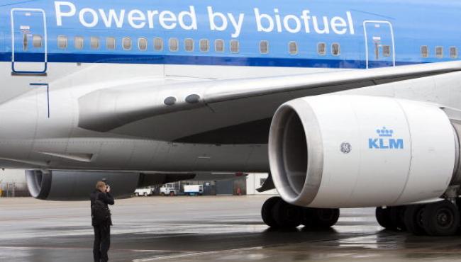 290 aerolíneas de todo el mundo pidieron a los gobiernos apoyo para expandir la oferta de biocombustibles aeronáuticos
