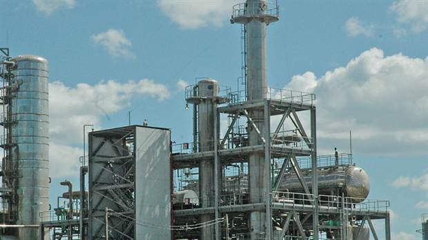 OMC falla a favor de Indonesia en disputa por biodiesel