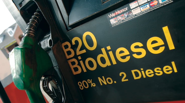 biodiesel3