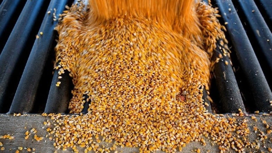 corn_etanol