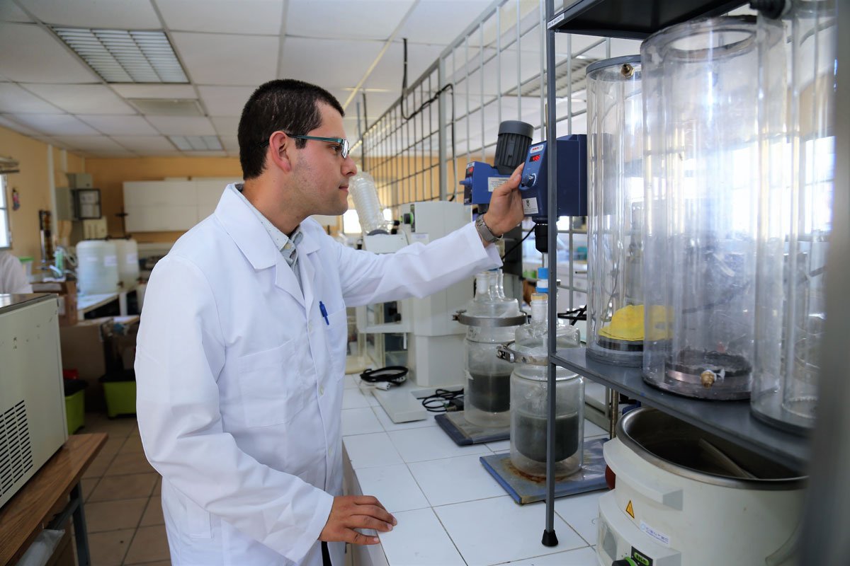 algas_mineria_chile Investigador de CICITEM desarrolla proyecto Fondecyt de Iniciación por 87 millones de pesos