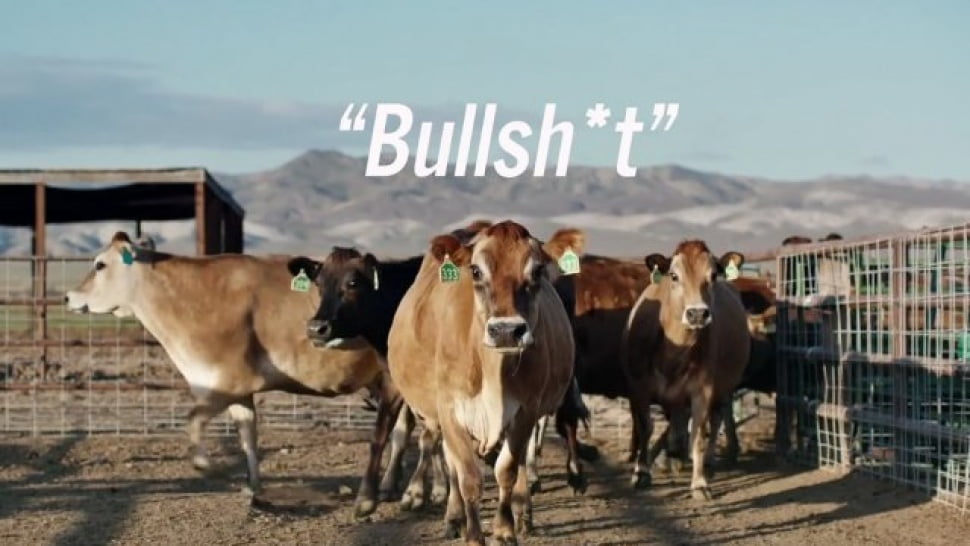 toyota_bullsht