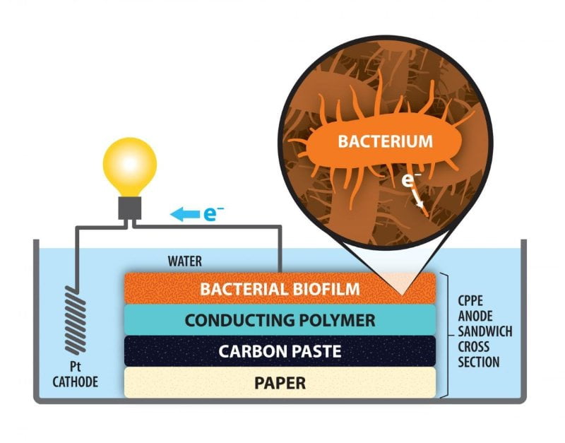 microbial-fuel-cell Celda de combustible bacteriano