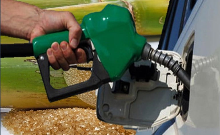 U$S160 millones invertirá sector azucarero para generar etanol