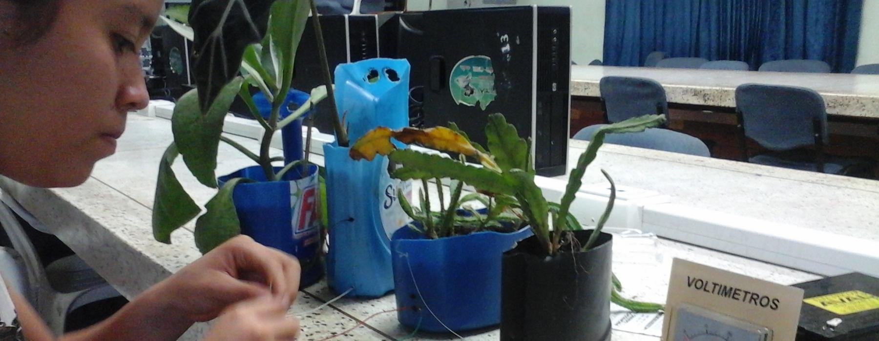 proyecto_de_biomasa_con_plantas Energía a través de plantas, el proyecto con el que jóvenes llaneros representarán a Colombia e