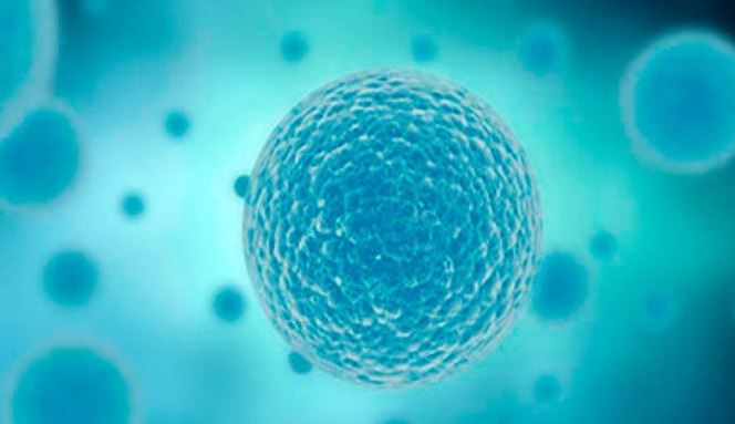 Fortalecen investigación con células humanas y agentes virales