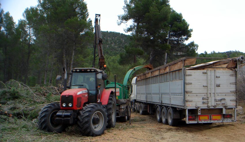 Economía verde mediante el aprovechamiento de la biomasa de los montes públicos
