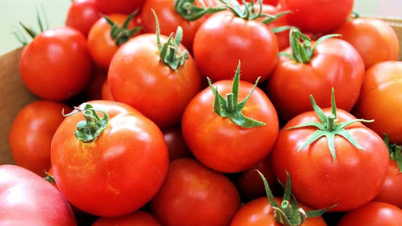 tomates Aumentan un compuesto anti-cáncer en el tomate mediante edición genética