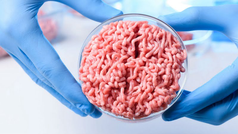 Cellular-meat