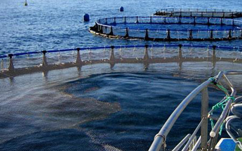 acuicultura-2