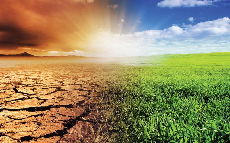 El cambio climático ha costado 7 años de crecimiento de la productividad agrícola