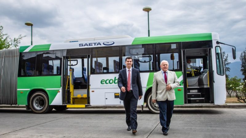 La vaca viva amamanta a la muerta