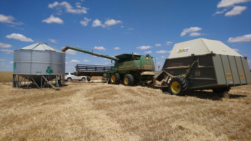 Cómo exportar 7 millones de toneladas de trigo con menos de 400 mm de agua