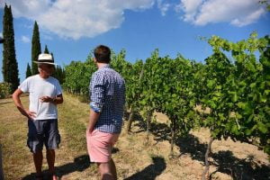 El vino más saludable del mundo llega al Reino Unido