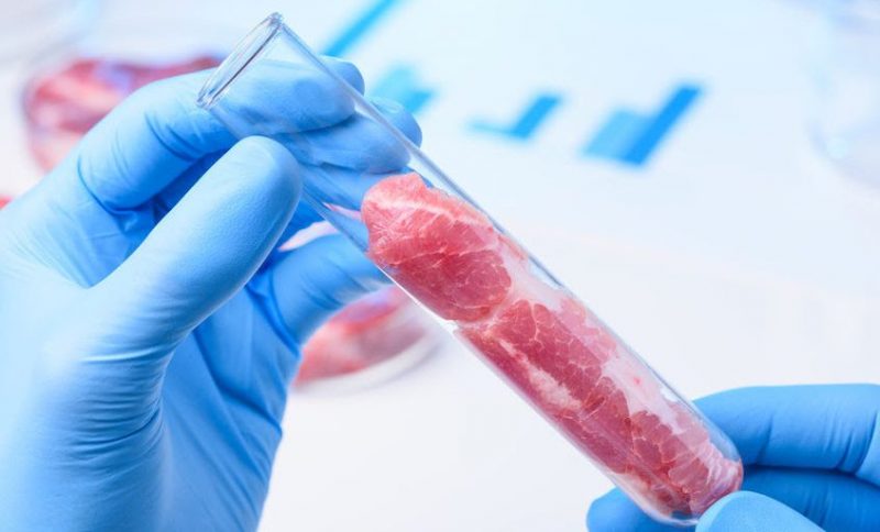 El gobierno de España invierte 5,2 MM de euros en un proyecto de carne celular