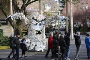 Starbucks y el problema de los vasos descartables Starbucks y el problema de los vasos descartables