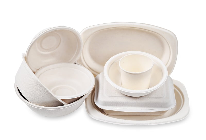 Group of product made from bagasse for container food