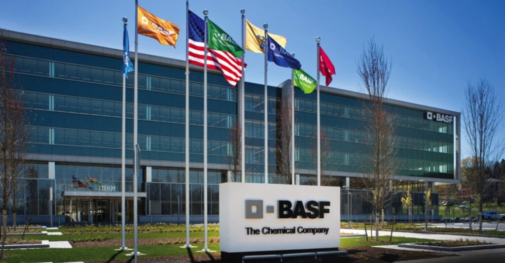 El arte de hacer girasol: BASF lanza el nuevo herbicida Clearsol® II ...