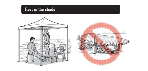 En California, los trabajadores agrícolas tienen derecho a sombra