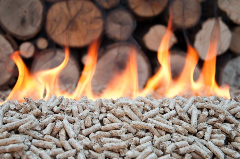 Es posible calefaccionar los hogares argentinos con Biomasa? - BioEconomia