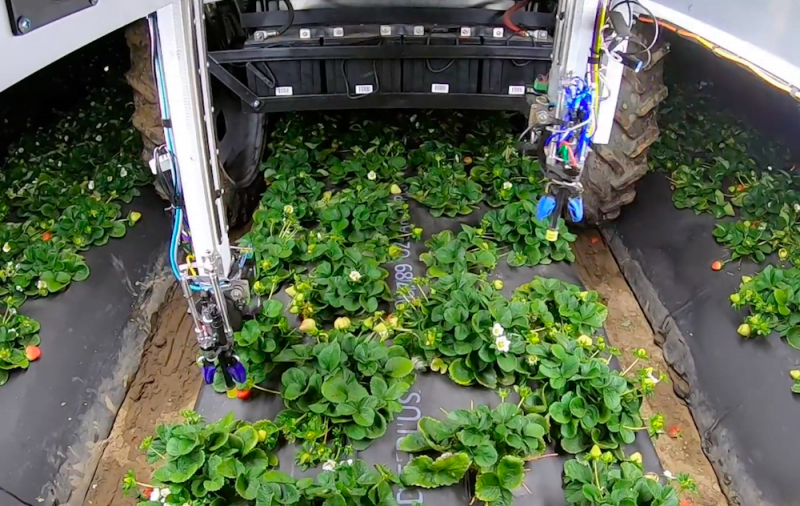 Yamaha invierte en róbotica agrícola