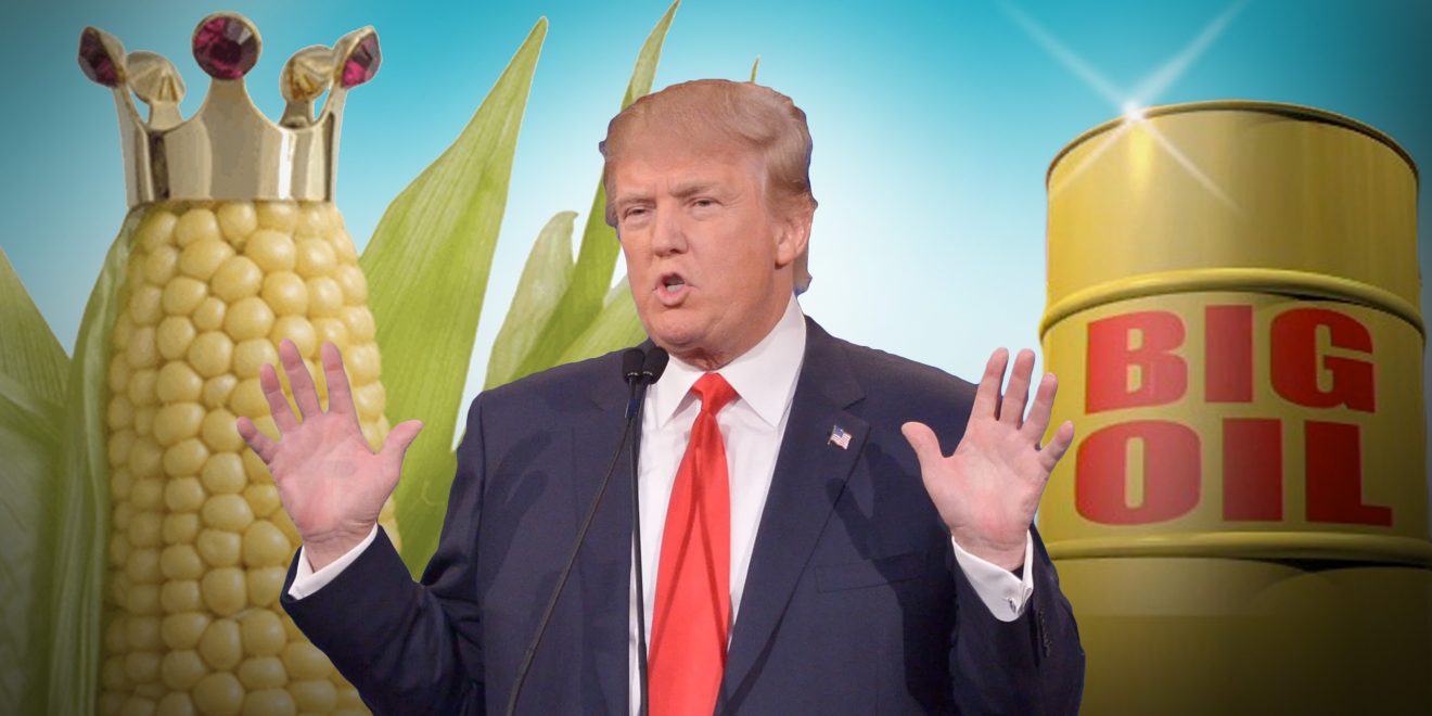 Furia de los farmers con Washington por las pérdidas de mercado de maíz