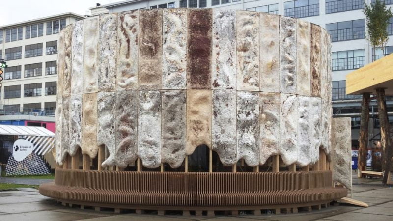 Con paredes recubiertas con micelio, este edificio limpia el aire a medida que crece