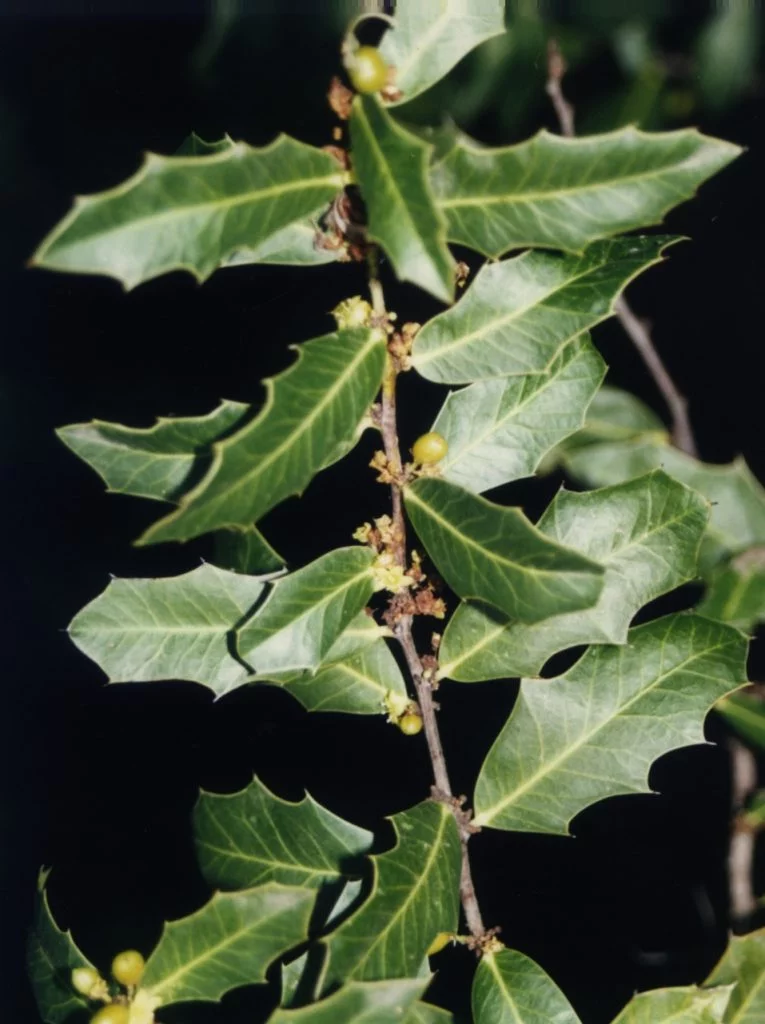 Un lugar donde biodiversidad y economía caminan de la mano