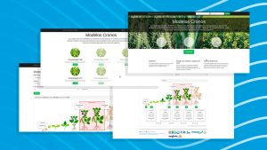 CRONOSOJA: el software que ayuda a planificar la siembra de la soja
