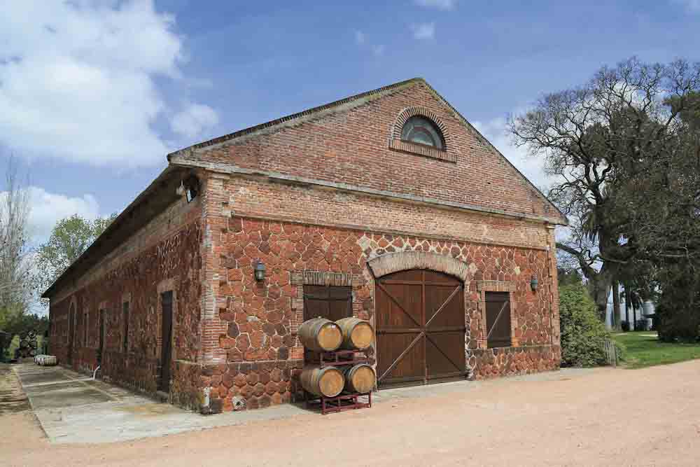 En una pequeña región vinícola de Uruguay la cepa tannat causa una gran impresión