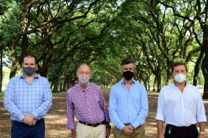 Se presentó CONFIAR, la iniciativa que busca fortalecer la cadena foresto-industrial argentina