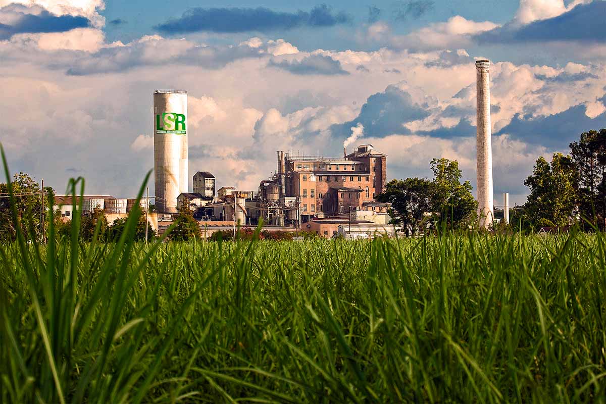 Imperial Sugar Plant shot across sugar cane field in Gramercy, La. Ingenio-azucarero-Loisiana