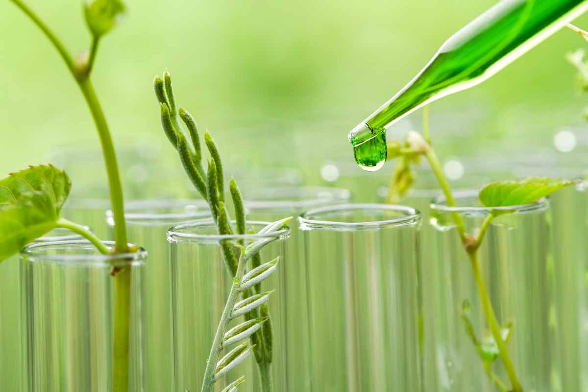 Dos Gigantes Se Unen Por La Qu mica Verde Con El Bioetanol Como dos-gigantes-se-unen-por-la-qu-mica-verde-con-el-bioetanol-como