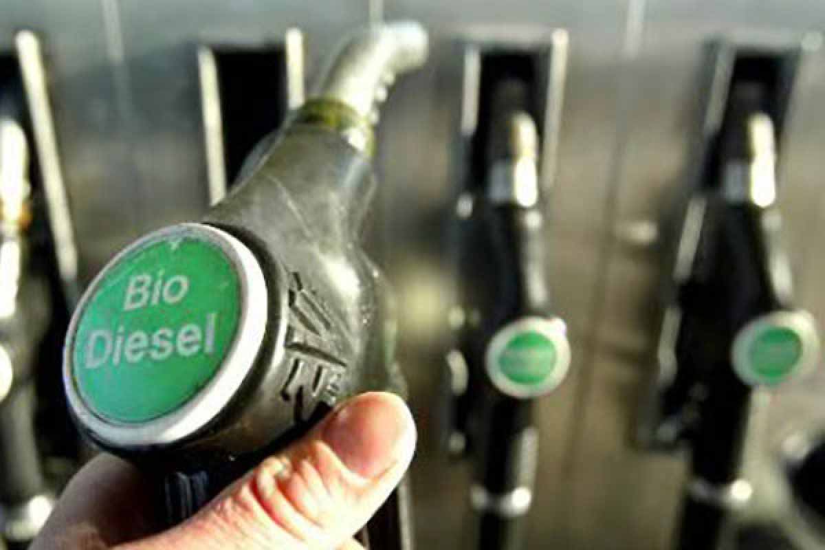 Día Internacional del Biodiesel Día Internacional del Biodiesel