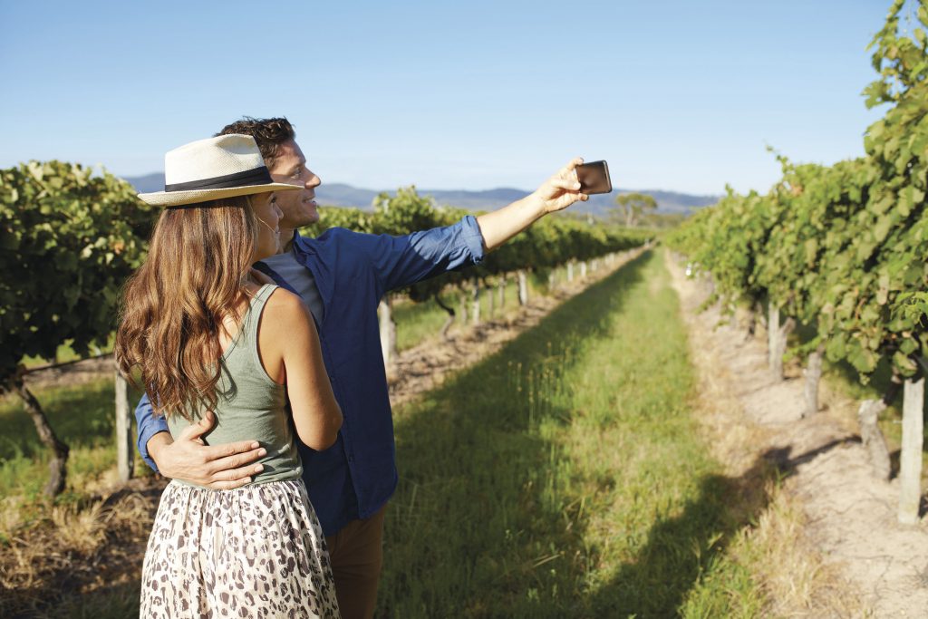enoturismo y la huella de carbono del vino la huella de carbono del vino