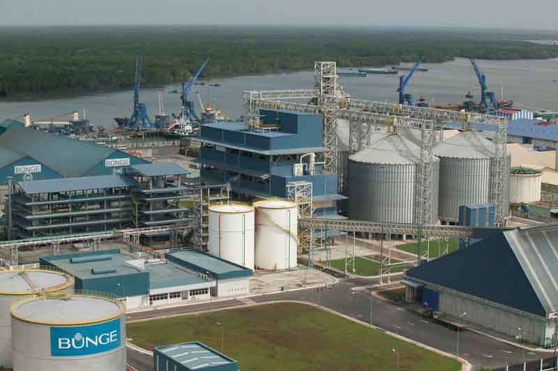 Bunge y Chevrón se asocian para producir materias primas para producir biocombustibles