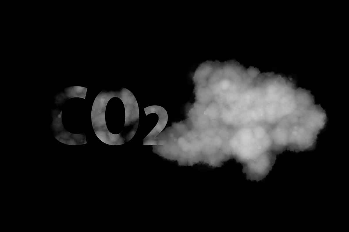 Con bacterías de E coli modificadas convierten el CO2 del aire en carbohidratos, ácido fórmico y combustibles renovables