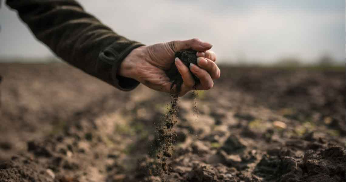 En antesala de Cumbre de Sistemas Alimentarios, gobiernos de las Américas y sector privado afirman que sólo suelos saludables permitirán una agricultura más sostenible