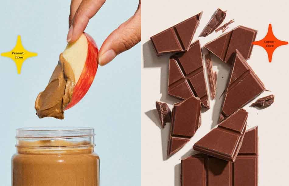 Manteca de maní sin maní, chocolate sin cacao y café sin granos de café, Voyage Foods lo hizo posible