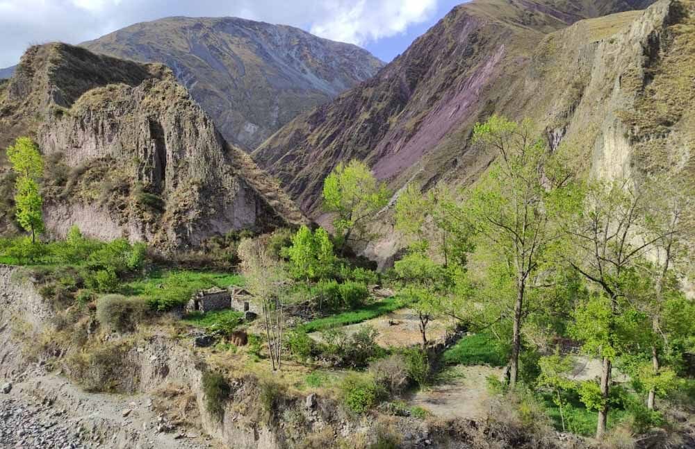Una 'caminata' por los senderos de la bioeconomía ancestral Una ‘caminata’ por los senderos de la bioeconomía ancestral - Camino a San Juan