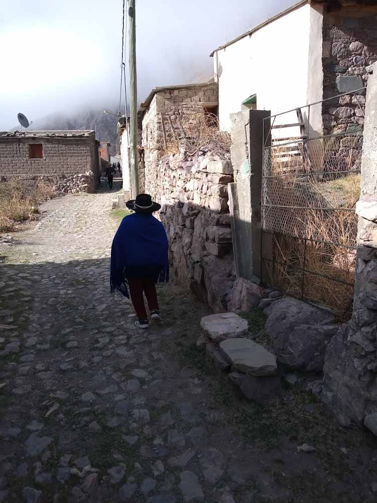 Una 'caminata' por los senderos de la bioeconomía ancestral Una ‘caminata’ por los senderos de la bioeconomía ancestral - San Isidro