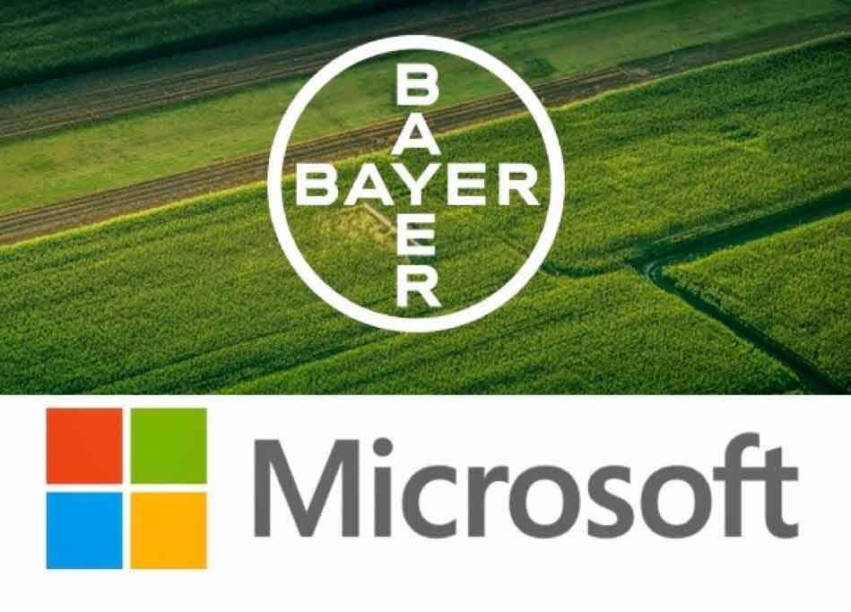 Bayer y Microsoft crean una asociación estratégica para optimizar y promover las capacidades digitales en las cadenas de valor de alimentos, biocombustibles y fibras