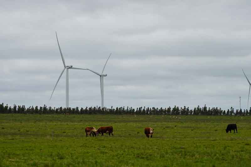 El camino de Uruguay hacia una economía carbono neutral