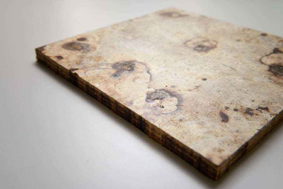 Los hongos un alternativa sostenible en las industrias de la construcción y de la fabricación de muebles - tablero DMC