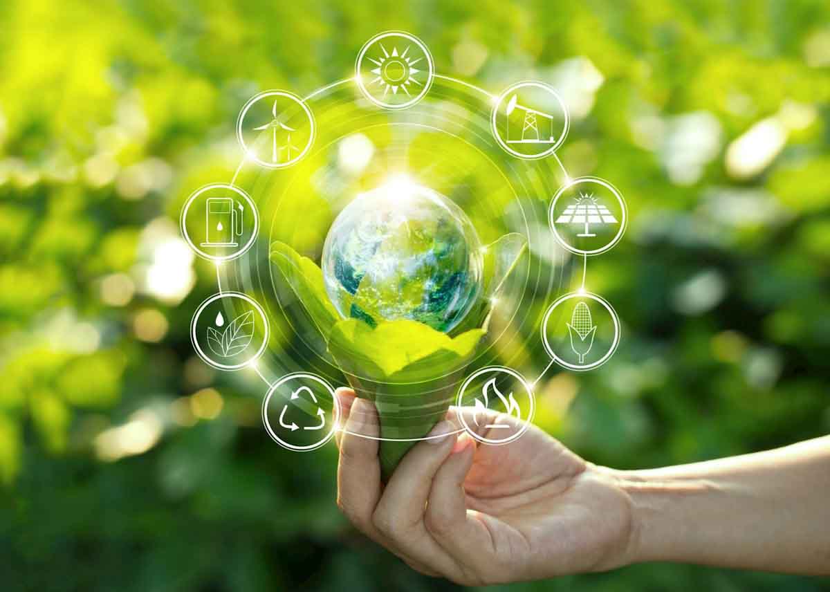 FAO lanzó una guía para monitorear la sostenibilidad de la bioeconomía