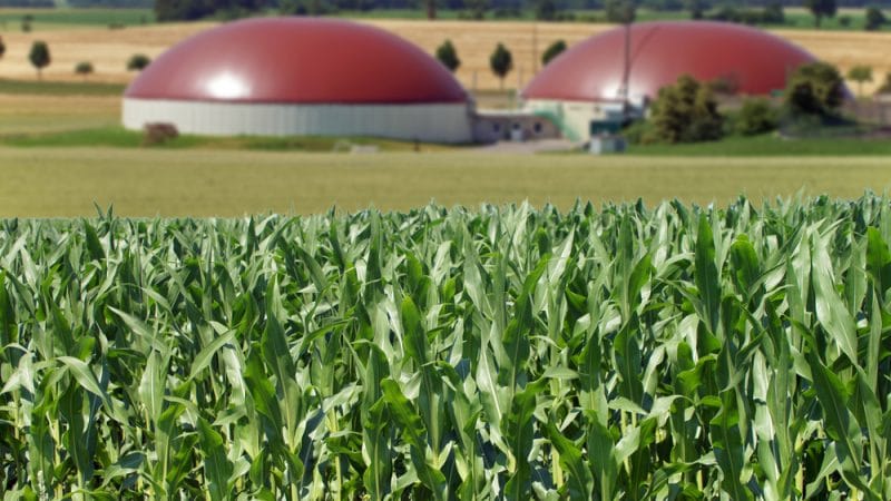 La Comisi&oacute;n Europea present&oacute; el plan REPower, un plan basado en biog&aacute;s para independizarse del gas ruso