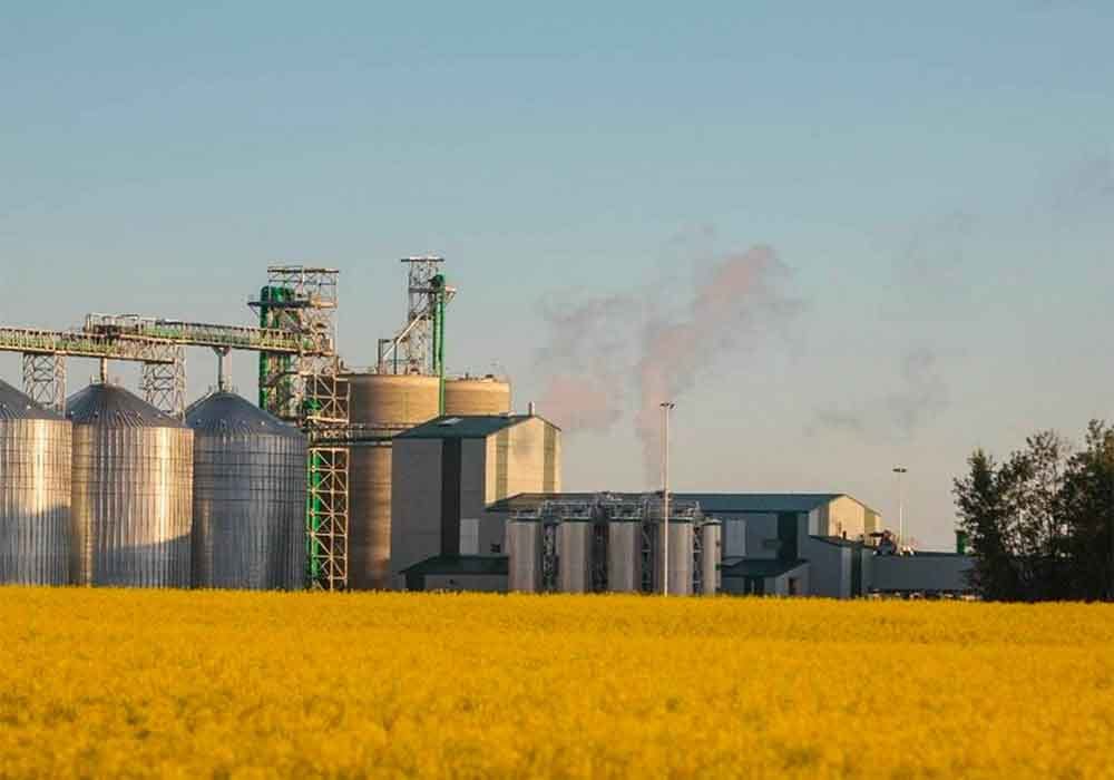 Cargill inicia en Canadá la construcción de una planta de U$S 350 MM para procesar canola