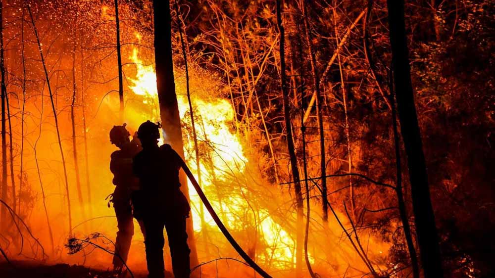 El fuego forestal analizado desde 4 enfoques prevención, presupresión, reacción y recuperación El fuego forestal analizado desde 4 enfoques prevención, presupresión, reacción y recuperación
